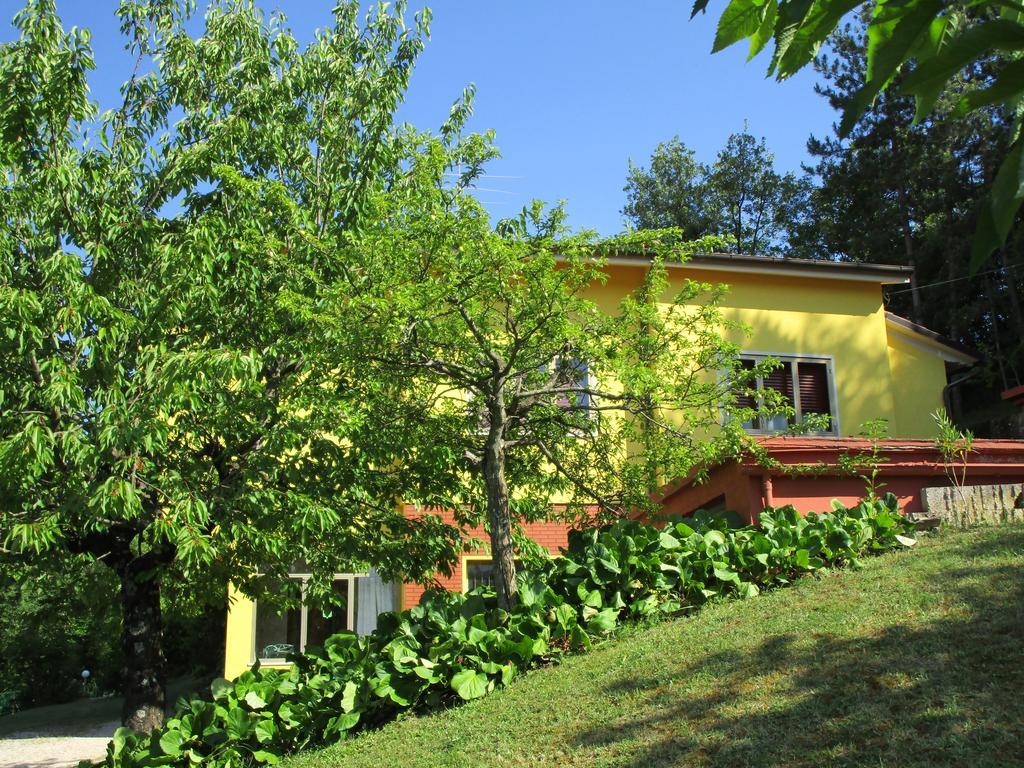 Casa Balducci Bed&Breakfast Mercatello sul Metauro Zewnętrze zdjęcie