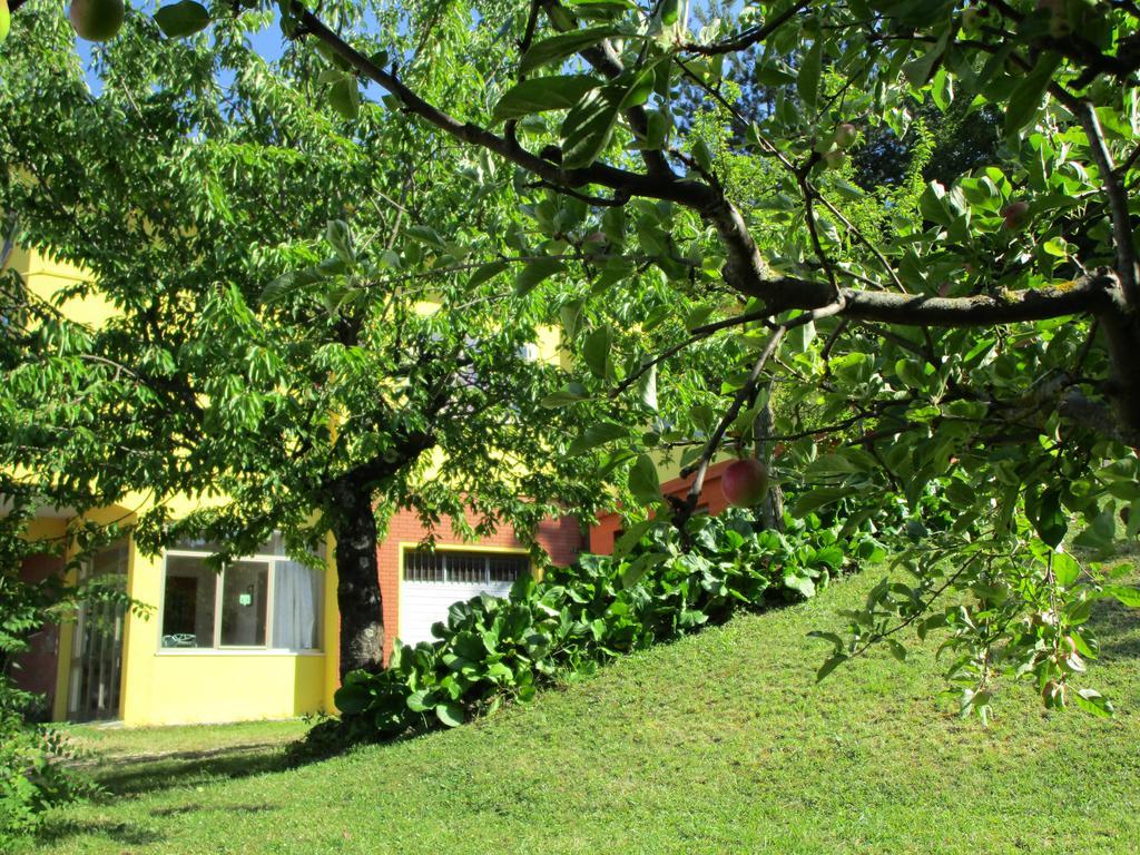 Casa Balducci Bed&Breakfast Mercatello sul Metauro Zewnętrze zdjęcie