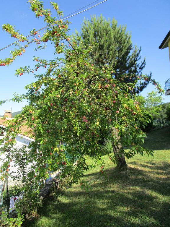 Casa Balducci Bed&Breakfast Mercatello sul Metauro Zewnętrze zdjęcie